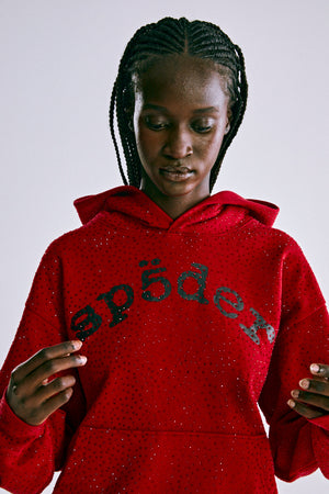 VVS HOODIE